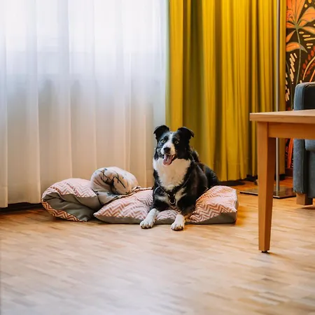 Auszeit St Lambrecht فندق سانكت لامبريشت