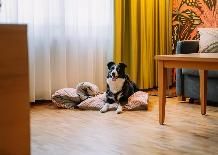 Auszeit St Lambrecht Hotel Sankt Lambrecht